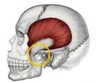 emporomandibular Joint and Muscle Disorders (TMJ)